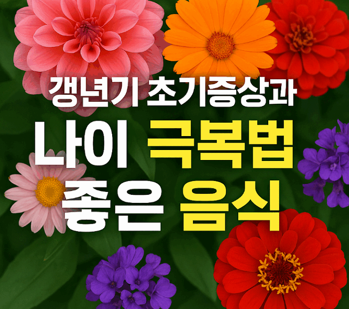 갱년기 초기증상