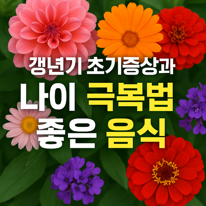 갱년기