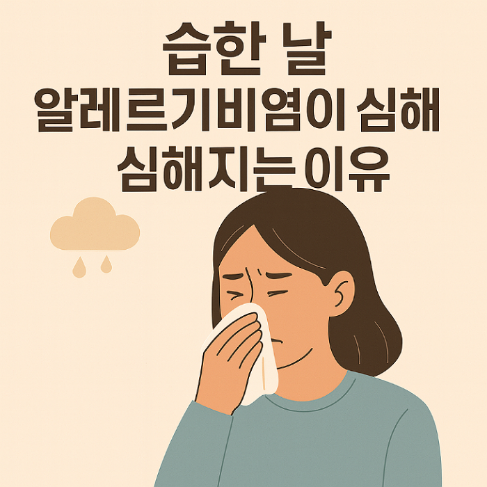 알레르기 비염