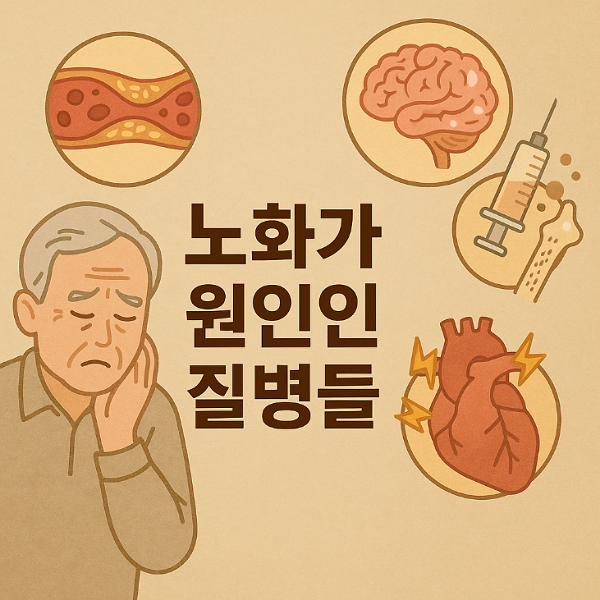 노화